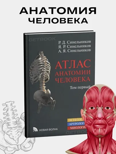 Атлас анатомии человека 1 том, Синельников, новое издание 2019 год
