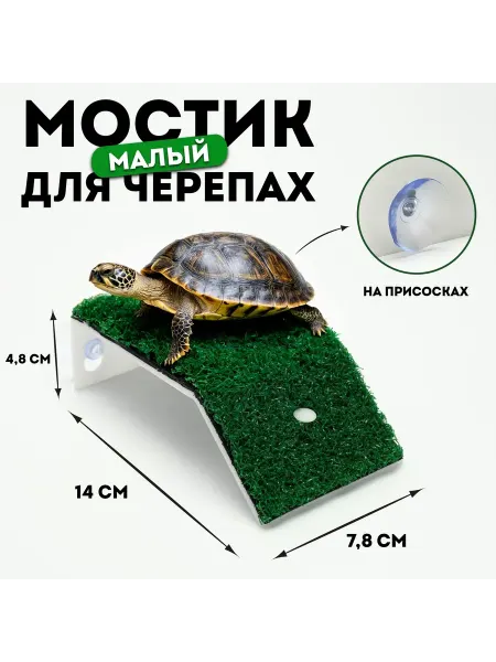 Зоотовары Декорации для аквариумов и террариумов