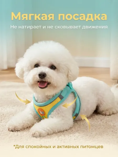 Прогулочная шлейка - жилетка, для собак и кошек разных пород, с поводком, 1.5 м