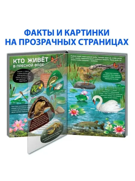 Обучающая книга с прозрачными страницами для детей