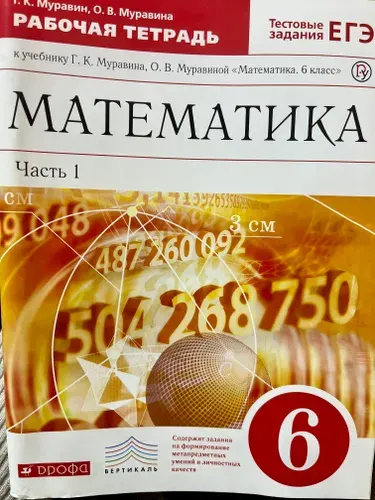 Математика рабочая тетрадь 6 класс 1 часть Г.К. Муравин О.В. Муравин | Муравин Георгий Константинович, Муравина Ольга Викторовна