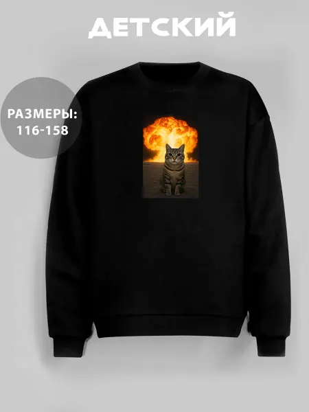 GRAFFIX Свитшот детский летний без начеса с принтом мем