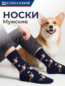 Носки Comandor мужские , с принтом Корги, 1 пара