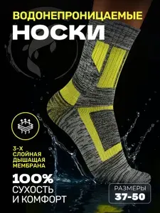 Носки KOI-FISH мужские, 1 пара