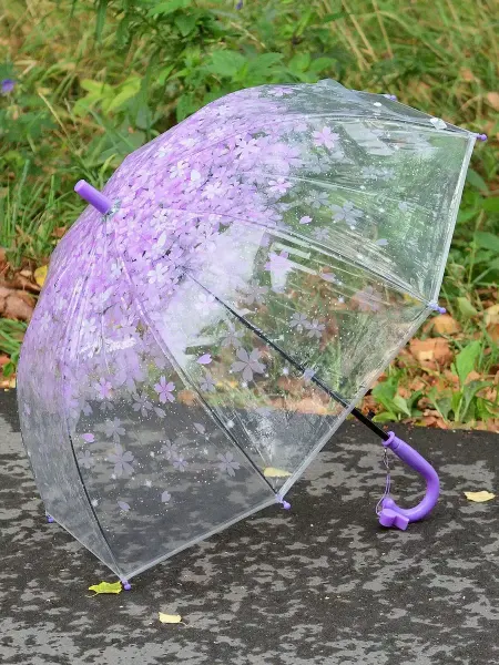 Umbrella World Зонт детский прозрачный полуавтомат со свистком