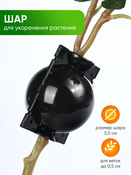 А М Дизайн Шар для укоренения растений