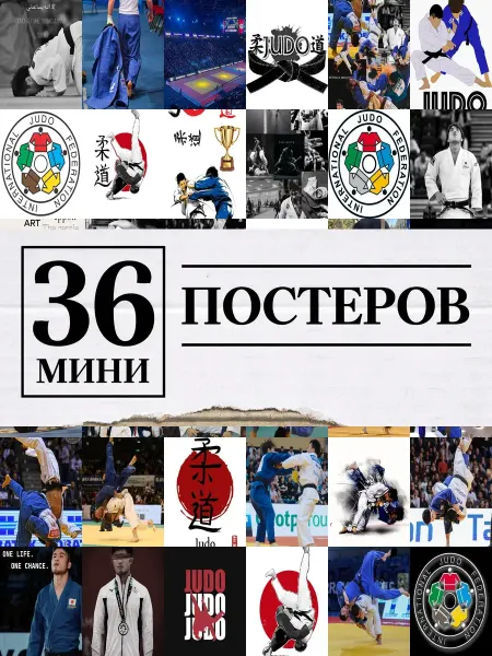 1-й Стикер Минипостеры 36 шт дзюдо