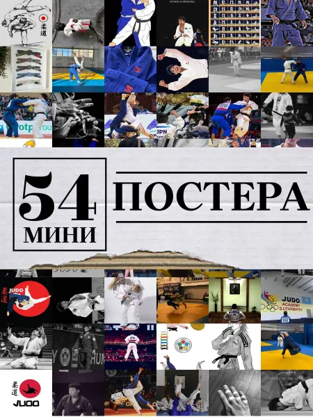 1-й Стикер Минипостеры 54 шт дзюдоиста