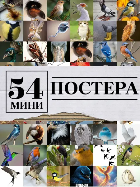 1-й Стикер Минипостеры 36 шт птица
