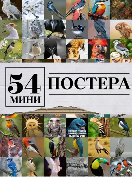 1-й Стикер Минипостеры 54 шт птицы