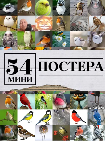 1-й Стикер Минипостеры 36 шт птичка