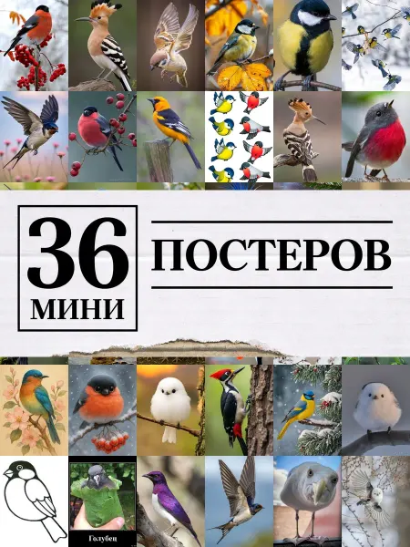 1-й Стикер Минипостеры 36 шт птички