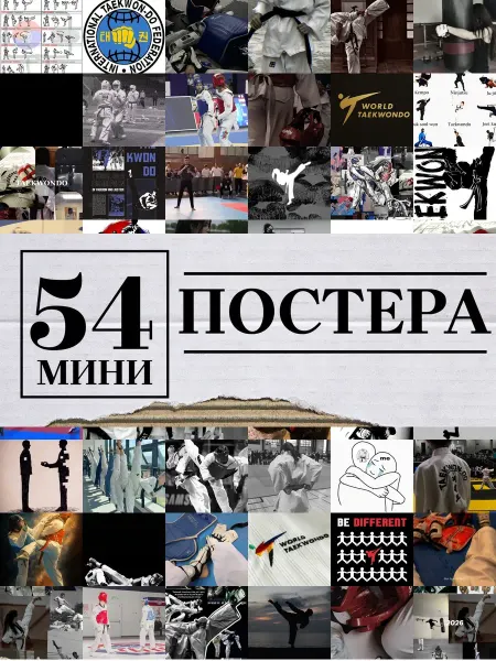 1-й Стикер Минипостеры 54 шт тхэквондо