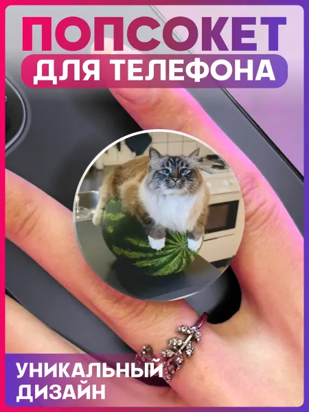 1-я Наклейка Попсокет для телефона Кот на арбузе