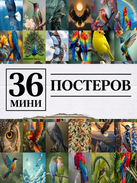 1-й Стикер Минипостеры 36 шт 4к птицы