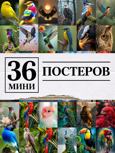 1-й Стикер Минипостеры 36 шт full hd птицы