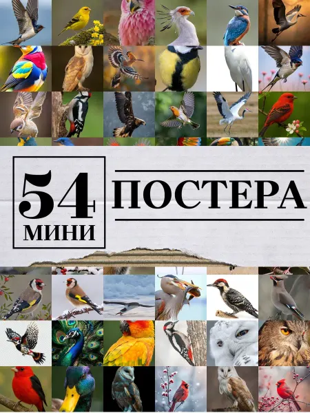 1-й Стикер Минипостеры 36 шт high quality птицы