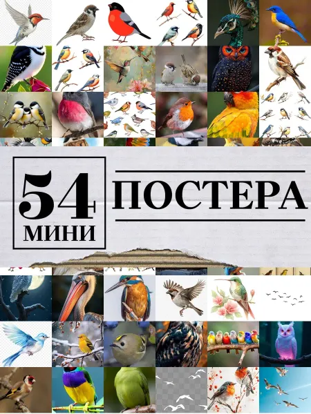 1-й Стикер Минипостеры 36 шт high resolution птички