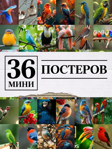 1-й Стикер Минипостеры 36 шт ultra hd птички