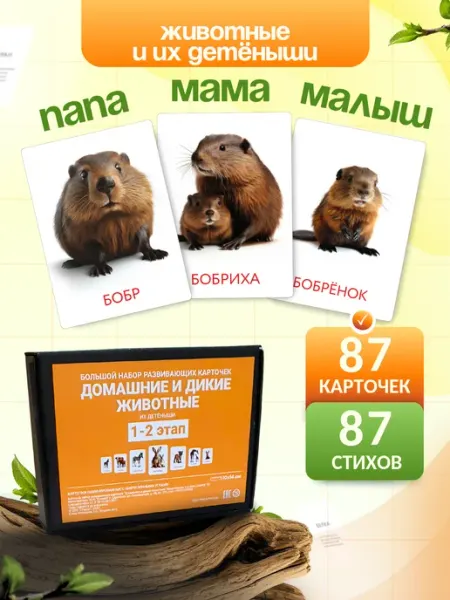 Животные, мамы и их детеныши. 1-2 этап