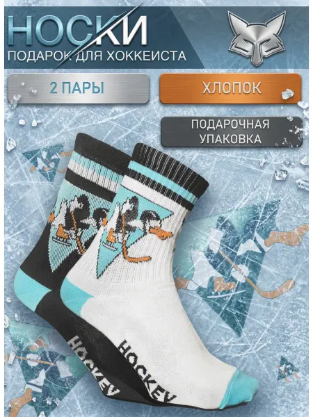 FOXSOX Хоккейные носки на каждый день, 2 пары