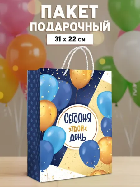 ГК Горчаков Пакет День рождения мужчине 22х31