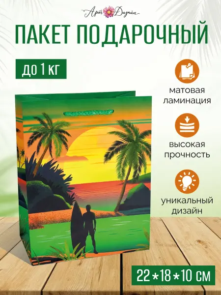 Арт и Дизайн Подарочный пакет мужской 22ю18х10
