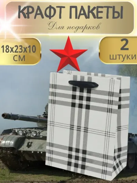 Decormarket Пакеты подарочные 2шт на 23 февраля клетка