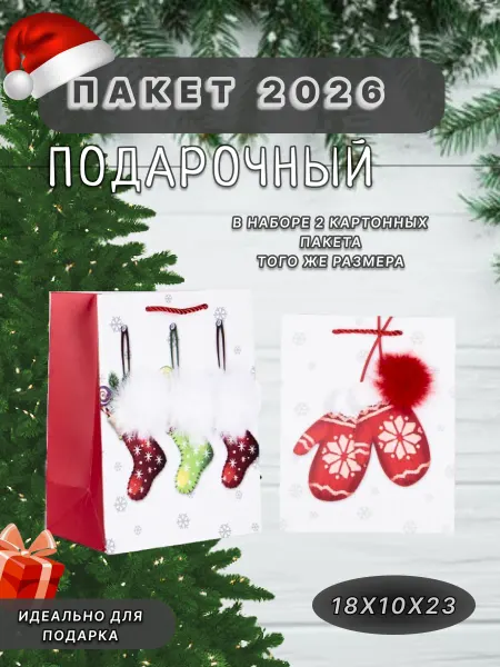 Подарочный пакет новогодний из картона 23 см 2 шт
