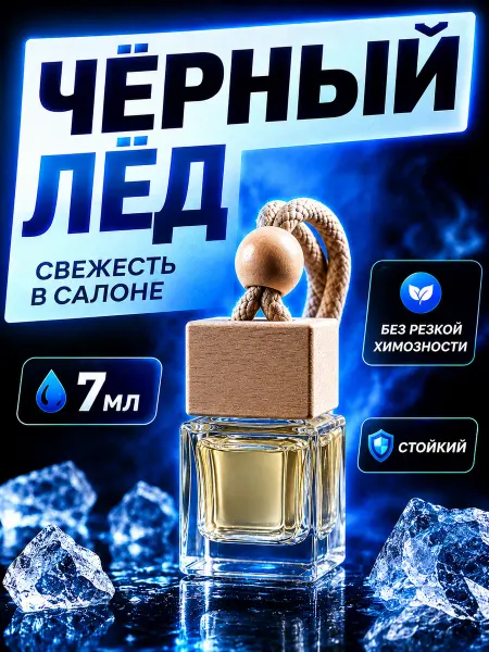 AIRUS Ароматизатор в машину мужской подарочный черный лед вонючка