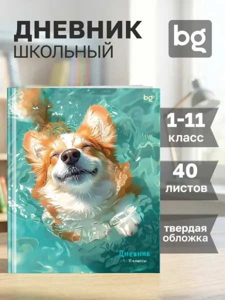 BG Дневник школьный 1-4 и 5-11 класс