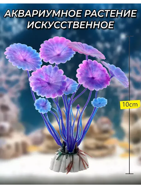 Растение для аквариума Фиолетовые Кувшинки 10см