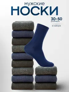 Носки АЛЬША мужские мужские хлопок, 10 пар