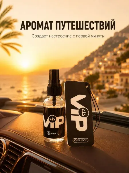 NikoLena23 Ароматизатор автомобильный подвесной VIP