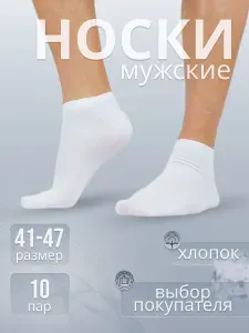 Носки мужские На каждый день набор, 10 пар