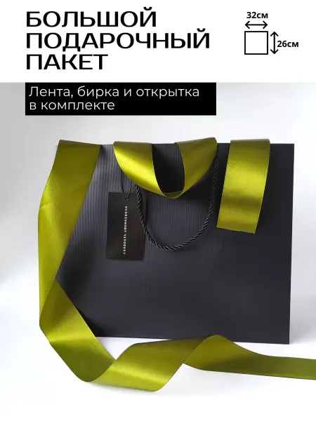 Пакет подарочный черный большой с оливковой лентой