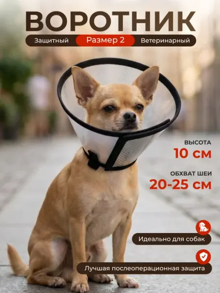 Защитный воротник ветеринарный для собак, высота 10 см