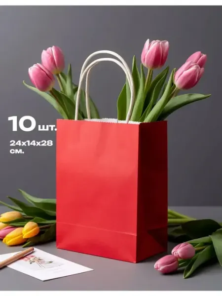 Империя пакетов Подарочный пакет крафт, бумажный, набор 10 штук