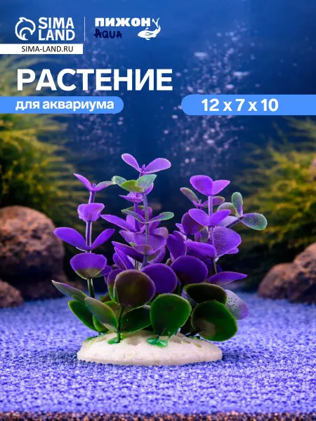Мир Лапок Растение искусственное аквариумное кустовое 10см фиолетовое