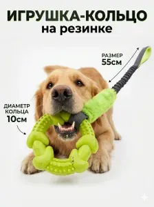 Игрушка Кольцо грызунок на резинке с амортизатором для собак, диаметр 10см