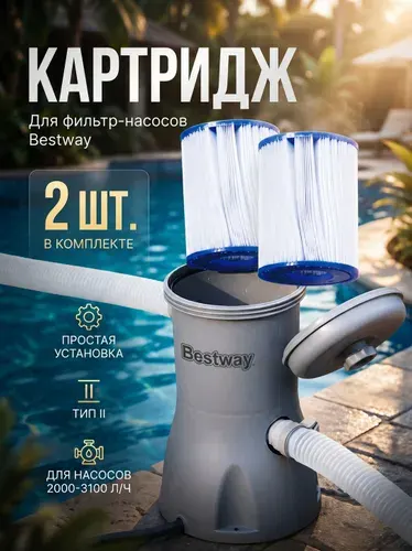 Картриджи для фильтр-насоса бассейна тип II Bestway 58094, 10,6 х 13,6 см, 2 шт.
