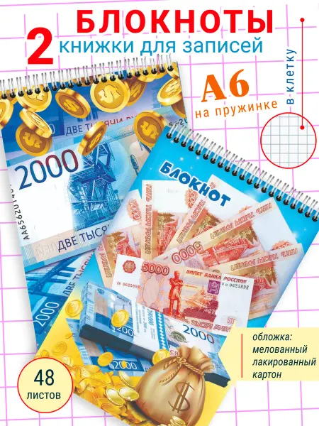Полиграфсоюз Блокнот на кольцах в клетку набор 2 шт А6 10*15 см Деньги