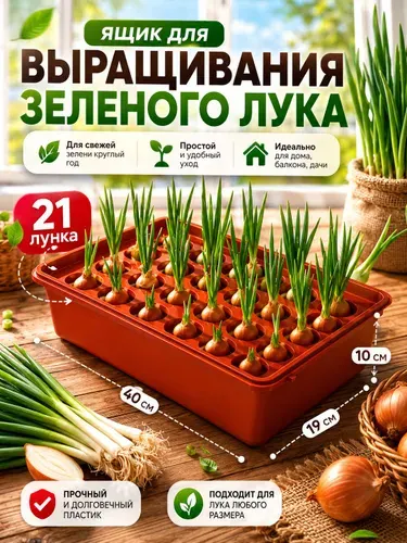 Лоток, контейнер для выращивания зелёного лука, 40 19 10 см, 21 лунка
