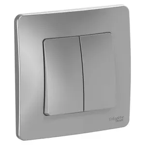 Выключатель 2-клавишный Systeme Electric Blanca, 10А, 250B, скрытой установки, Алюминий / BLNVS010503