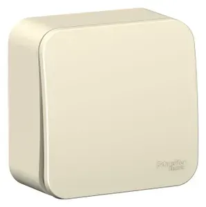 Выключатель одноклавишный накладной Шнайдер Systeme (Schneider) Electric BLANCA 10А, 250В, Молочный (глянцевый) BLNVA101012