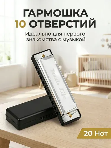 Детская губная гармошка диатоническая С мажор 10 отверстий, металл/пластик с футляром, развивающая музыкальная игрушка от 3 лет