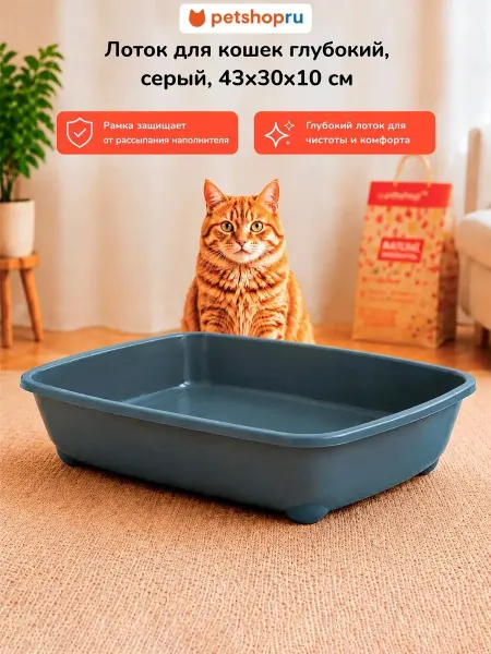 PetShop Лоток для кошек глубокий, средний 43*30*10см