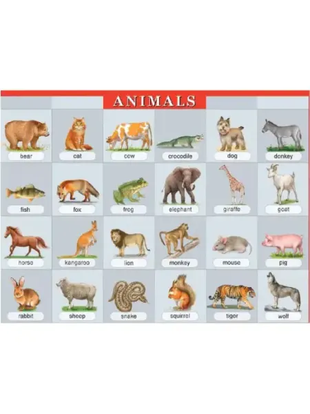 АЙРИС-пресс Животные. Animals. Наглядное пособие по англ.яз