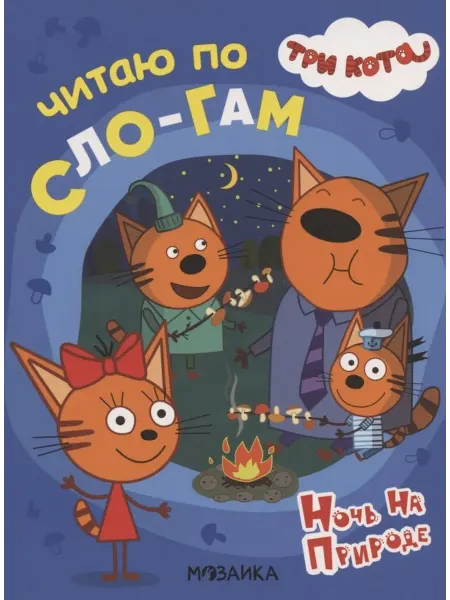 Книжный дом РФ Ночь на природе