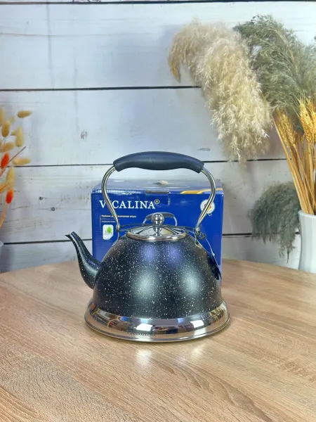 Чайник со свистком VICALINA из нержавеющей стали